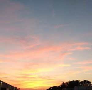 Meet your Posher, Trisha